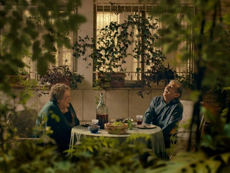 Foto af to mennesker, der griner, på en terrasse med grønne planter
